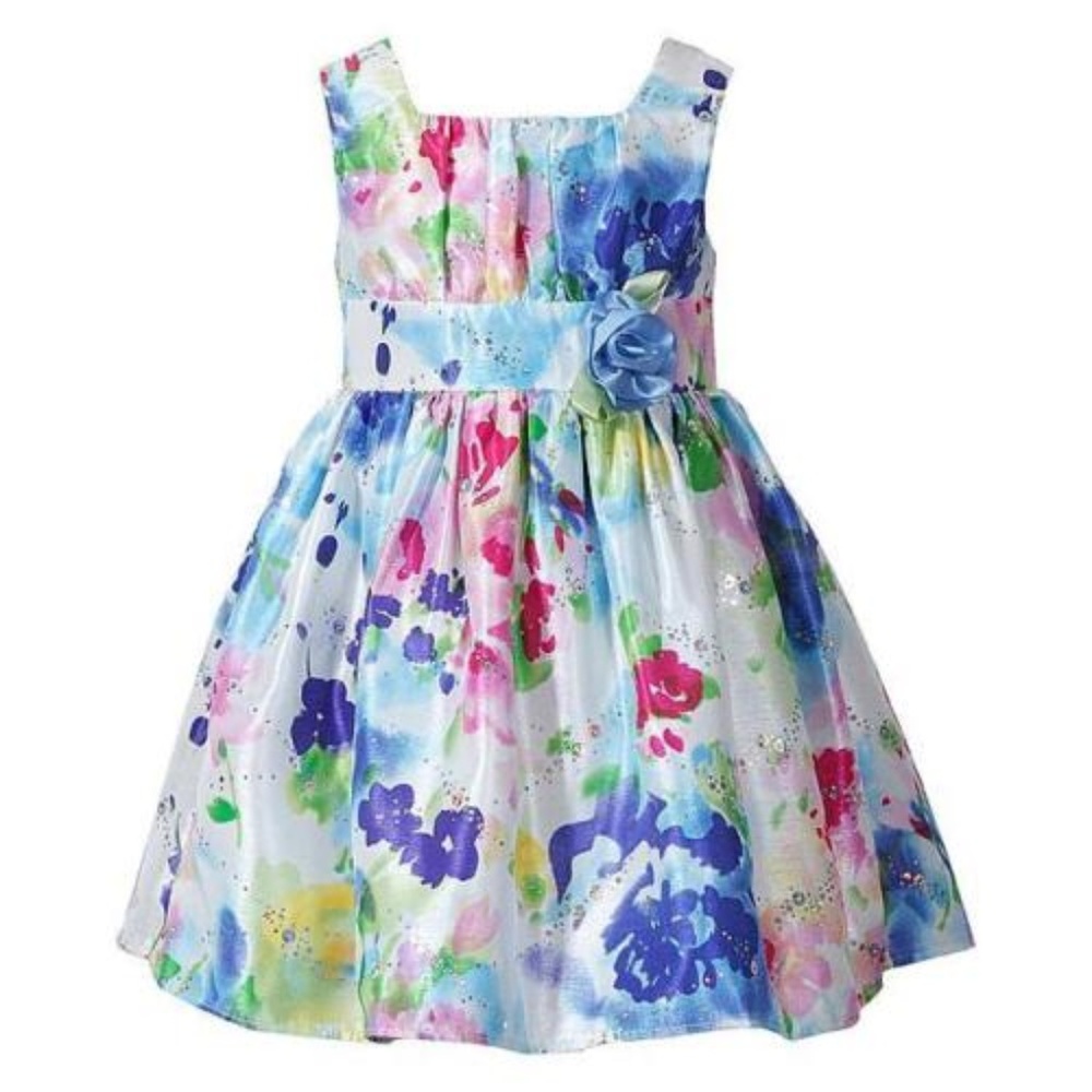 Youngland Baby Girl Floral Sleeveless A-line Special Occasion Dress 24m NWT